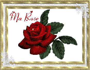 le tableau � la rose !