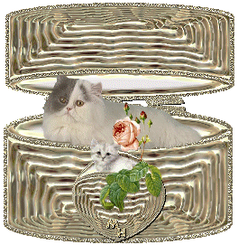 coucou il y a qu'elle qu'un !non y a personne lol!