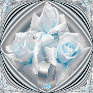 trop belle les roses !