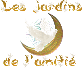 venez avec moi dans.........