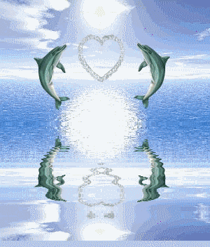 super les dauphin !!!