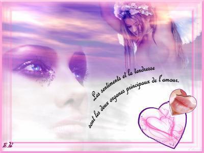 petite frase du jour !