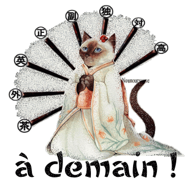 il est pas beau le minou !