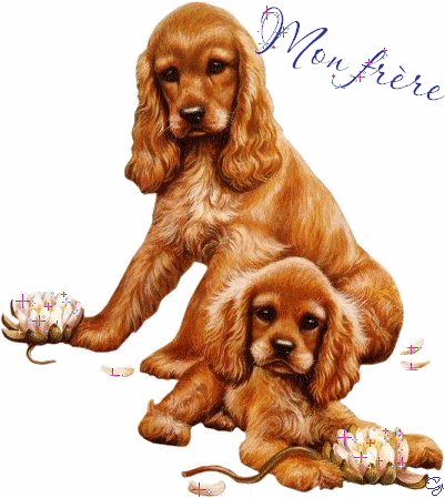 lol !!!!!! trop chou !!!!bis � mes fr�res.