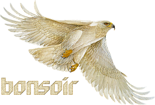 a tous ce qui passe sur mon blog !