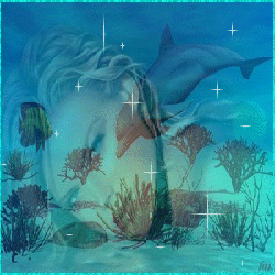 superbe la femme dauphin !