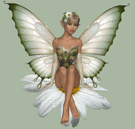 superbe papillon femme !