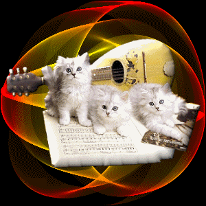 trop chou les minoux