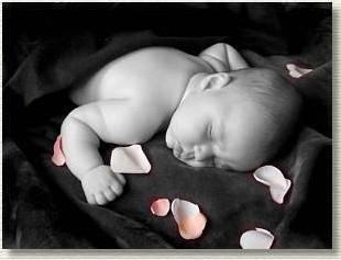 trop chou le pt bout !