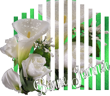 a tous ce qui passe sur mon blog !