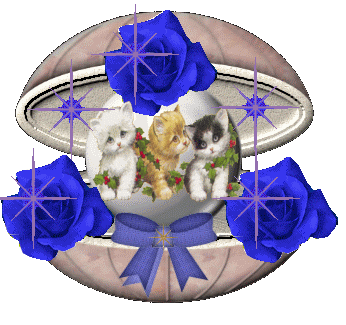 trop beau les minoux !