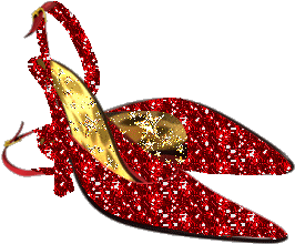 trop belle les chaussures !