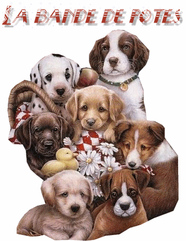 trop chou les toutous !!!!