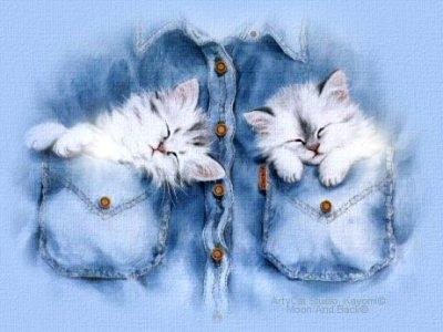 trop chou les minoux