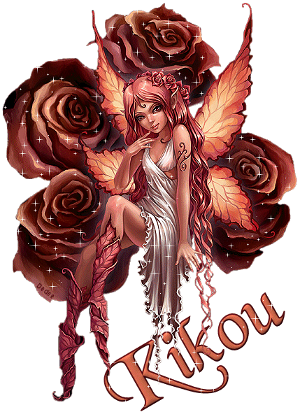 la belle des roses !