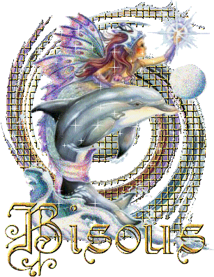 le dauphin et le papillon magique !