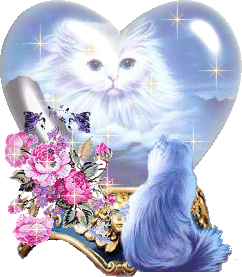 trop beau le minou !