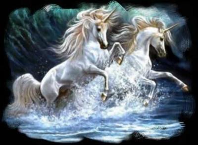 trop belle les licornes !