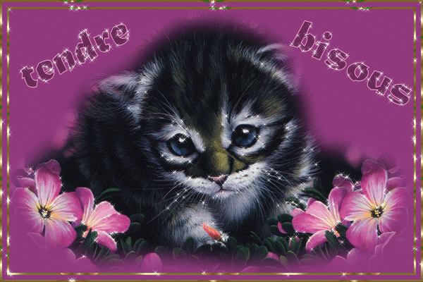 trop chou le minou !