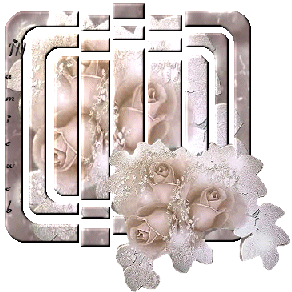 bouquet de l� mari�e ! lol