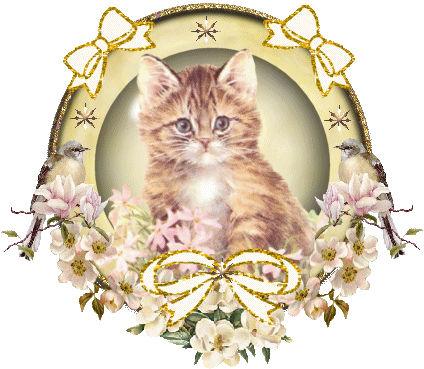 jolie pte boule de poil !!!!