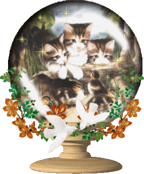 trop chou les minoux.. !!!