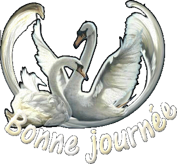 a tous ce qui passe sur mon blog !!!!