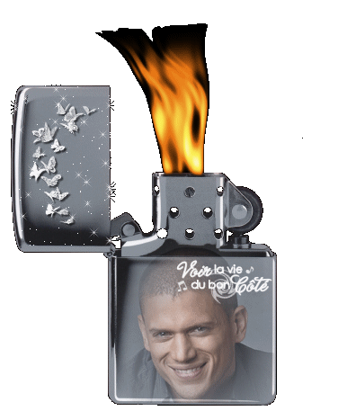 trop beau .......!!!! le zipo !!!