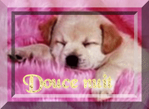 a tous ce qui passe sur mon blog !!!!