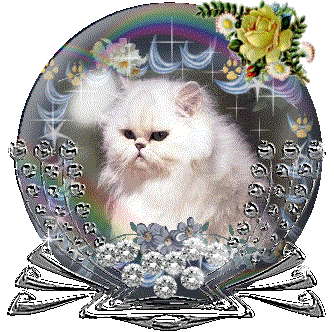 trop beau le minou !!!!