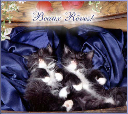 faite de ........! bisssssss