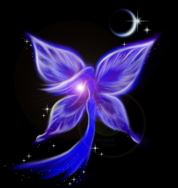 nuit �toil� !!!!