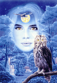 trop beau .......!!!!