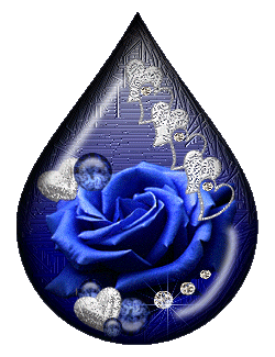 belle rose bleu ...!!!!