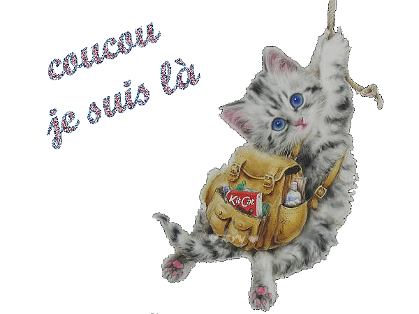 trop chou le minou !!!