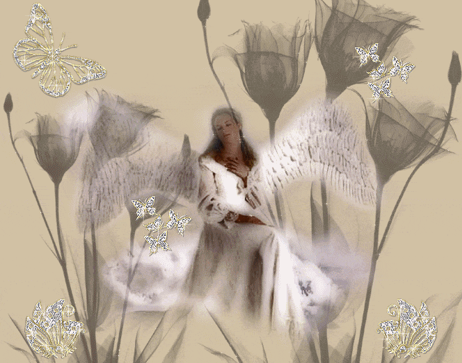 gardienne de papillon !!!