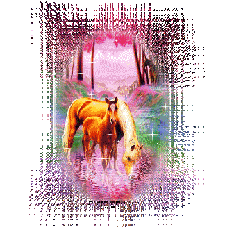 trop beau les cheveaux !!!!