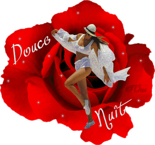 pour tous mes amies virtuel !!!