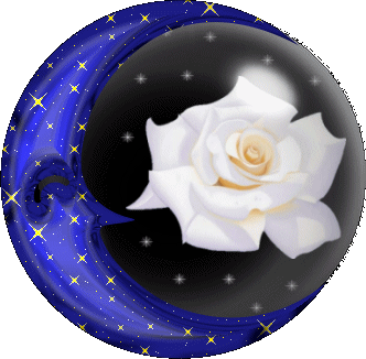 a tous ce qui passe sur mon blog !!!