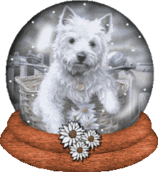 j'adore ces pt chien l� !!!!!!!!!!