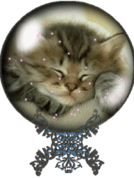 trop mimine le minou !!!!