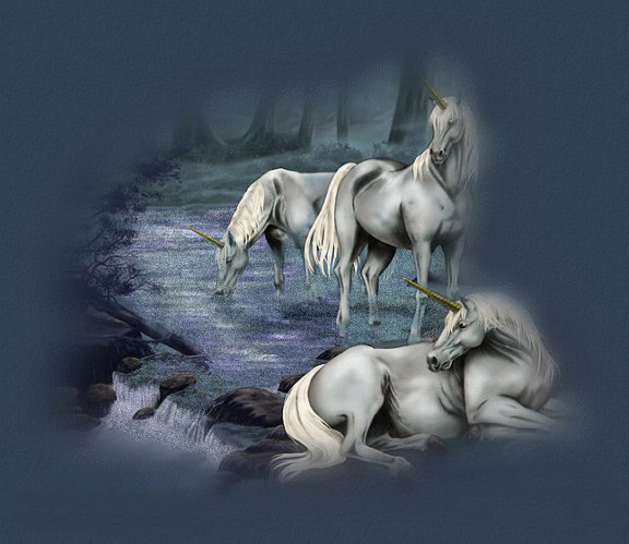 elles sont trop belle les licornes