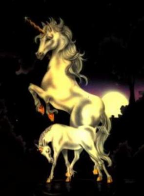 trop belle les licornes !!!!