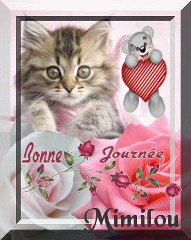 a tous ce qui passe sur mon blog !!!!