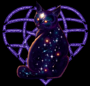 trop cool le chat !!!!