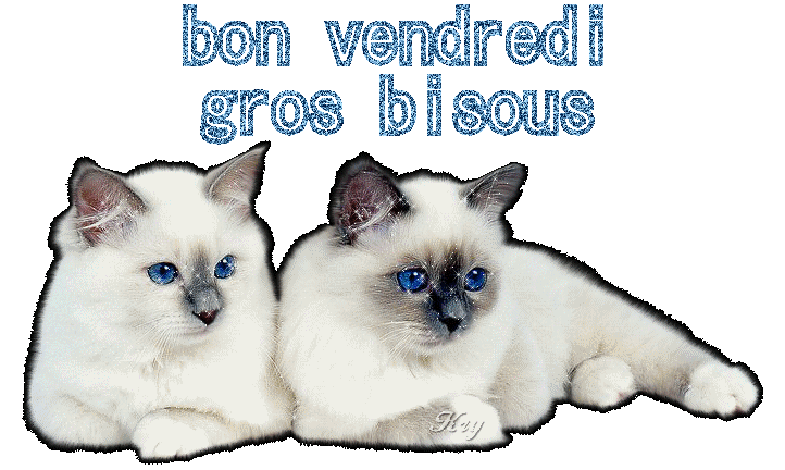 a tous ce qui passe sur mon blog !!!!