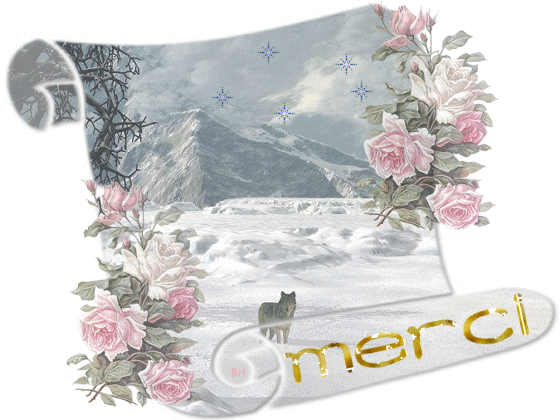 pour vous tous mes ami(es) !!!!!