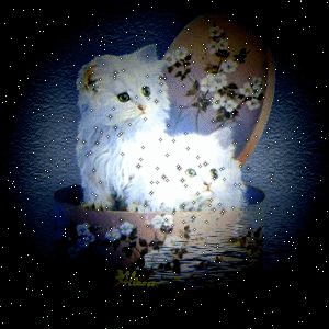 trop beau les minoux !!!!