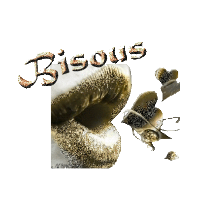 le bisous d'or .....!!!!!!