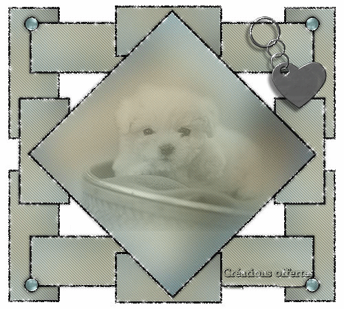 trop chou m�me en noir et blanc !!!!